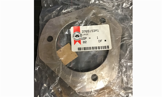 Genuine Flange/Plate