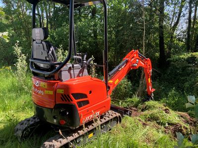 Kubota U17